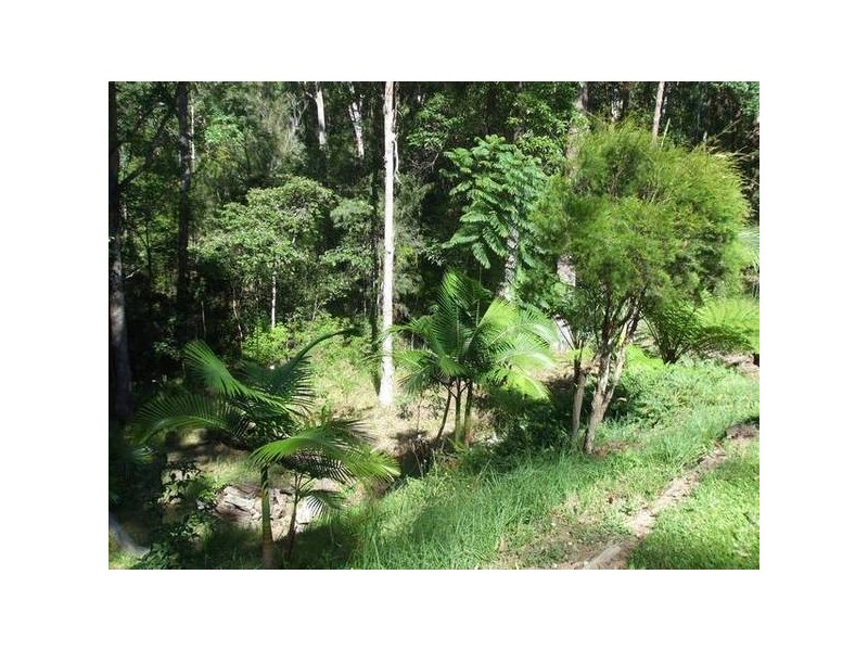 Towen Mountain QLD 4560