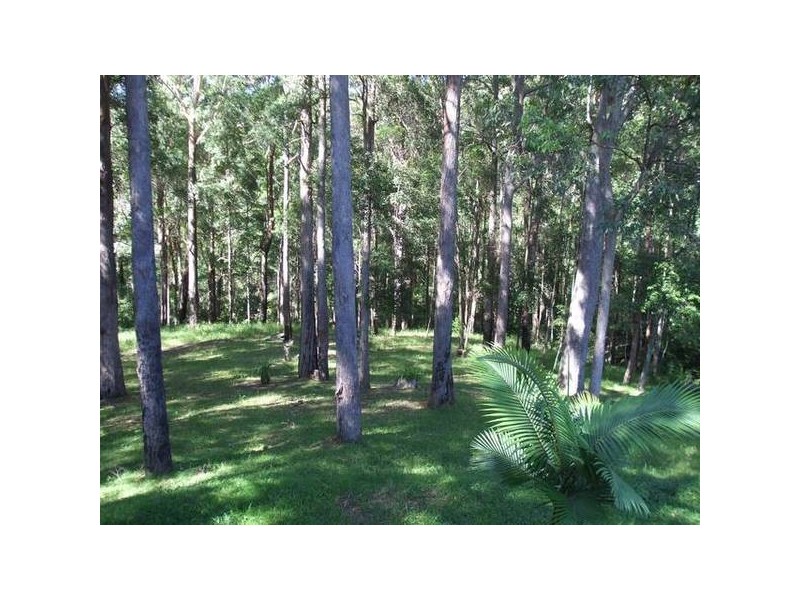 Towen Mountain QLD 4560