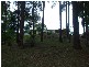 Towen Mountain QLD 4560