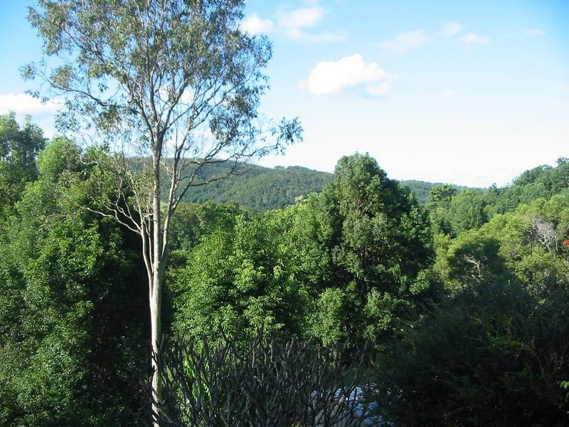 217 Panorama Dr, Rosemount QLD 4560