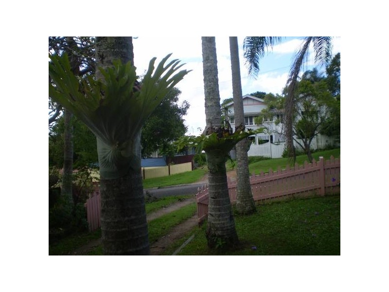 Nambour QLD 4560