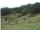 Eumundi QLD 4562