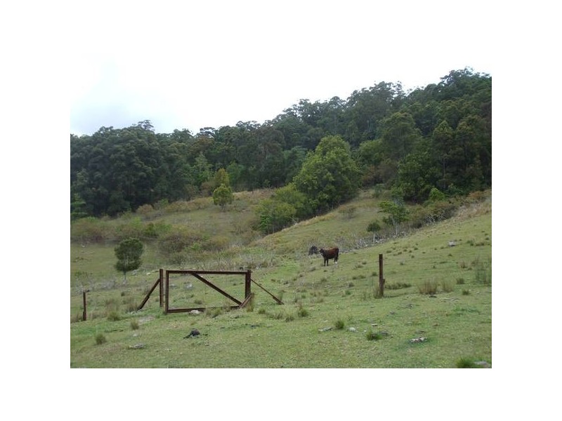 Eumundi QLD 4562
