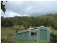 Eumundi QLD 4562
