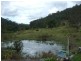 Eumundi QLD 4562