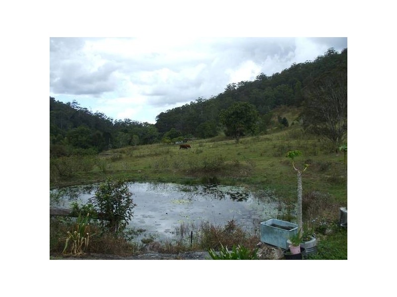Eumundi QLD 4562