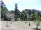 Eumundi QLD 4562