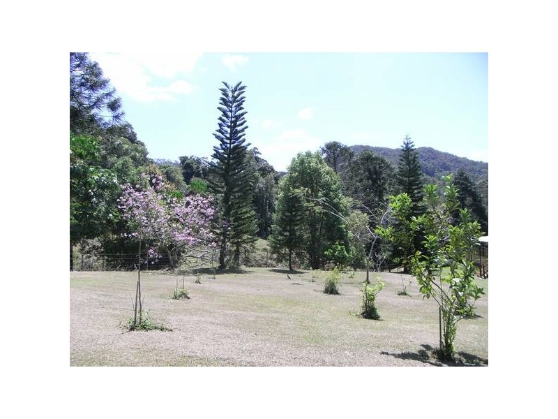 Eumundi QLD 4562