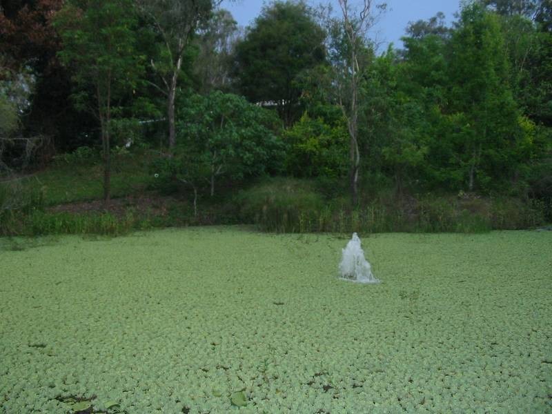 Perwillowen QLD 4560