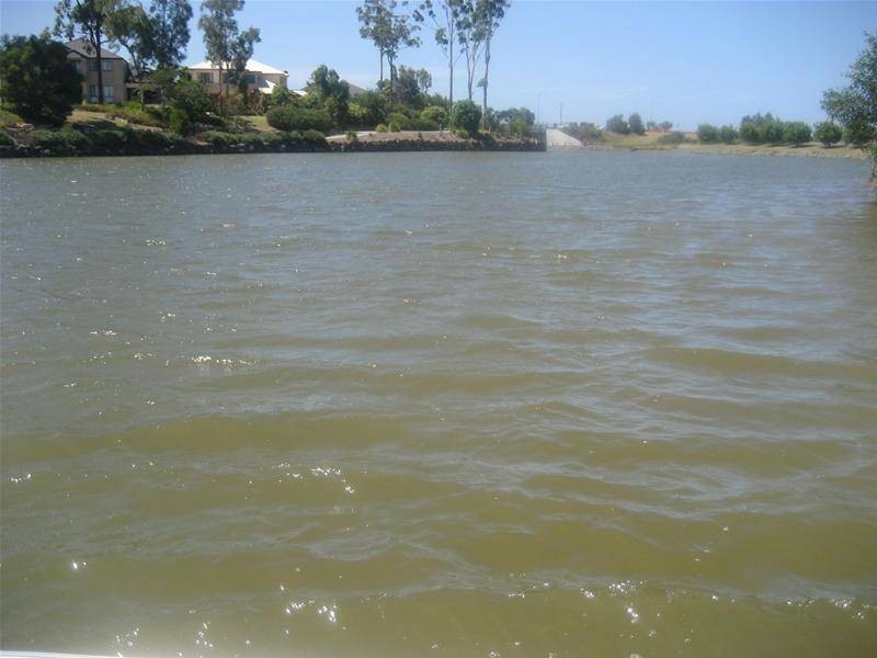 17 Valetta Crescent, Varsity Lakes QLD 4227