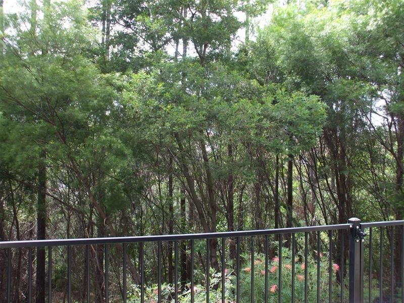 28 Royal Woods Drive, Robina QLD 4226