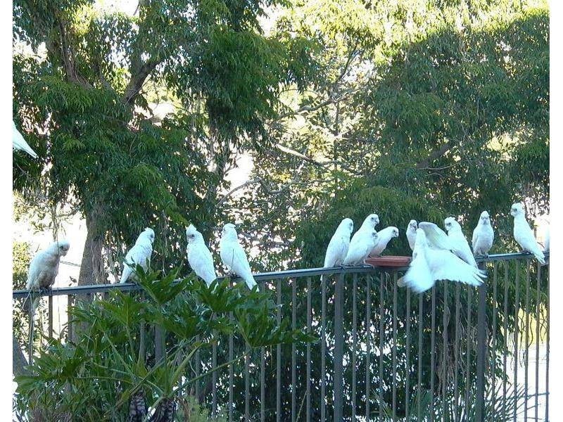 Broadbeach Waters QLD 4218