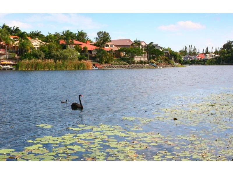 8 Mornington Terrace, Robina QLD 4226