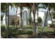 1 Cutwater Close, Clear Island Waters QLD 4226