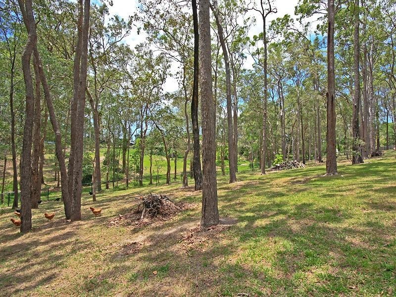 38 Walker Drive, Worongary QLD 4213