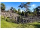 468 Nubeena Road, Koonya TAS 7187