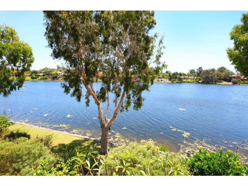 36 Mornington Terrace, Robina QLD 4226