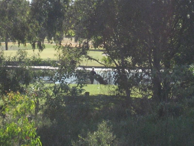 8 Redbud Place, Robina QLD 4226