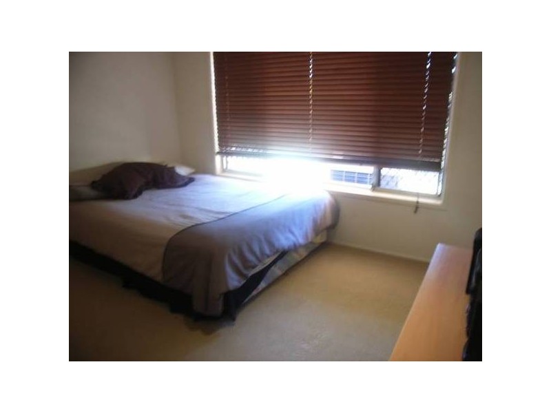 14 Araluen Avenue, Palm Beach QLD 4221