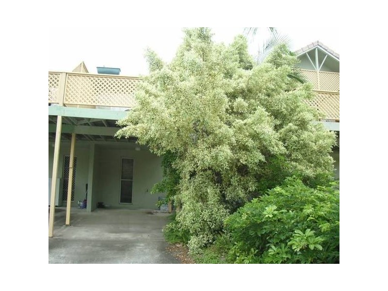 Mermaid Waters QLD 4218