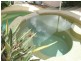 43 Martinque Way, Clear Island Waters QLD 4226