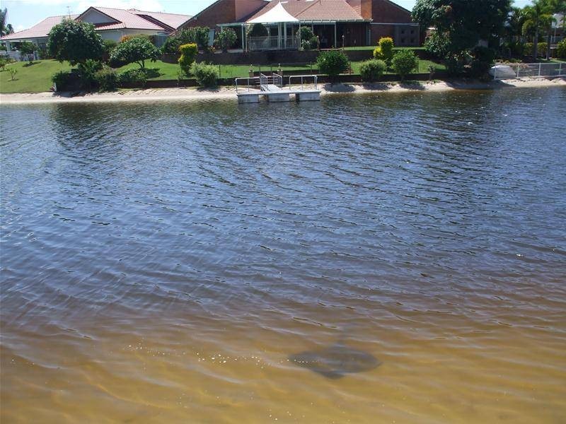 Mermaid Waters QLD 4218