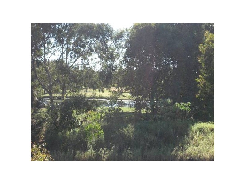 Robina QLD 4226