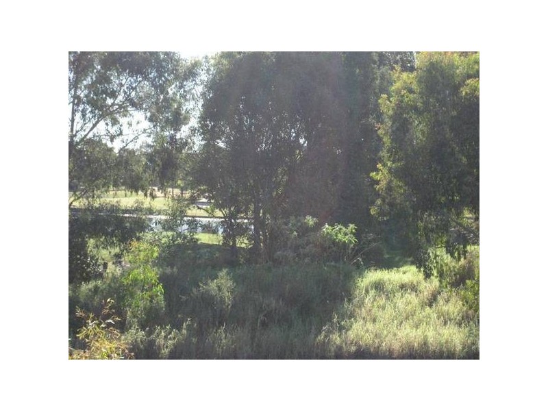 Robina QLD 4226