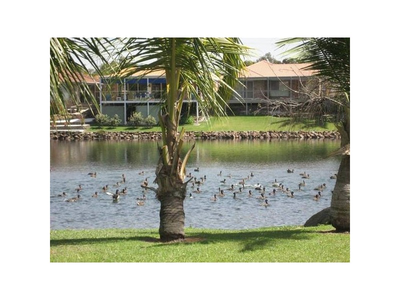 Robina QLD 4226