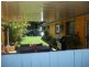 Miami QLD 4220