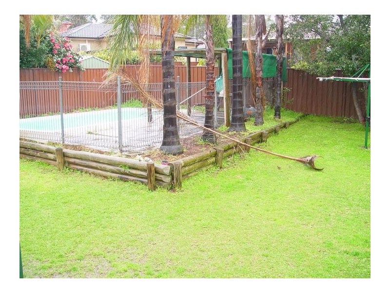 12 Daffodil Street, Greystanes NSW 2145