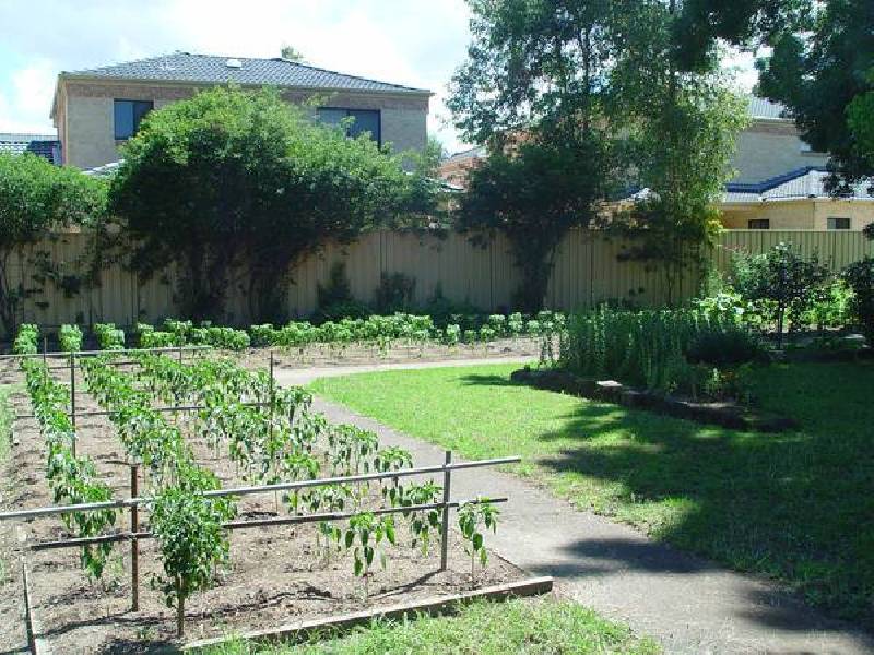 78 Metella Road, Toongabbie NSW 2146