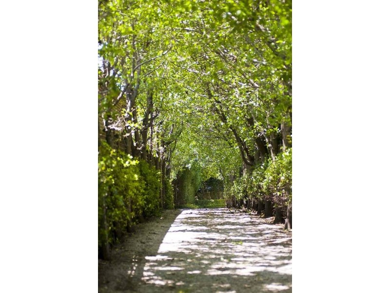 49 Kuringgai Avenue, Turramurra NSW 2074