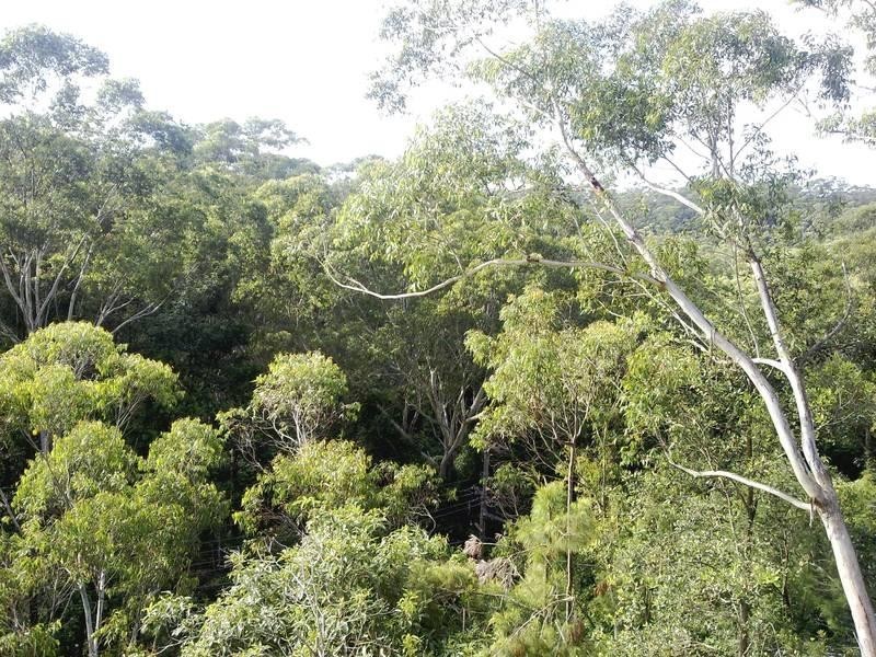 16a Terrell Avenue, Wahroonga NSW 2076