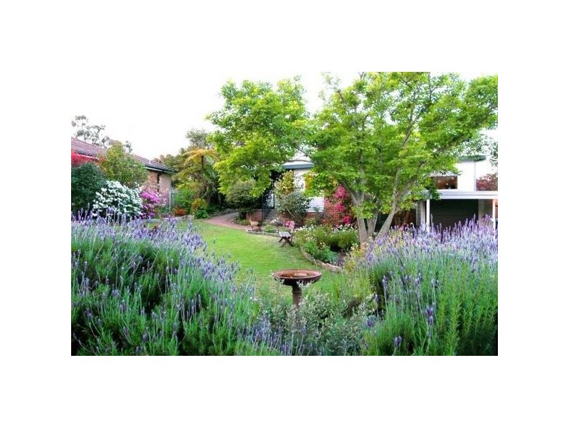 10 Kate Street, Turramurra NSW 2074