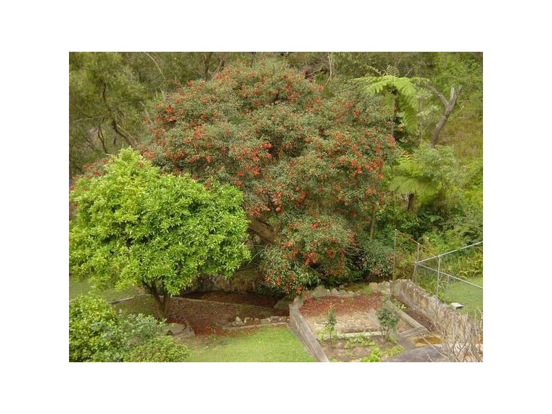 72 Robinson Street, East Lindfield NSW 2070