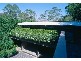 11A Duff Street, Turramurra NSW 2074