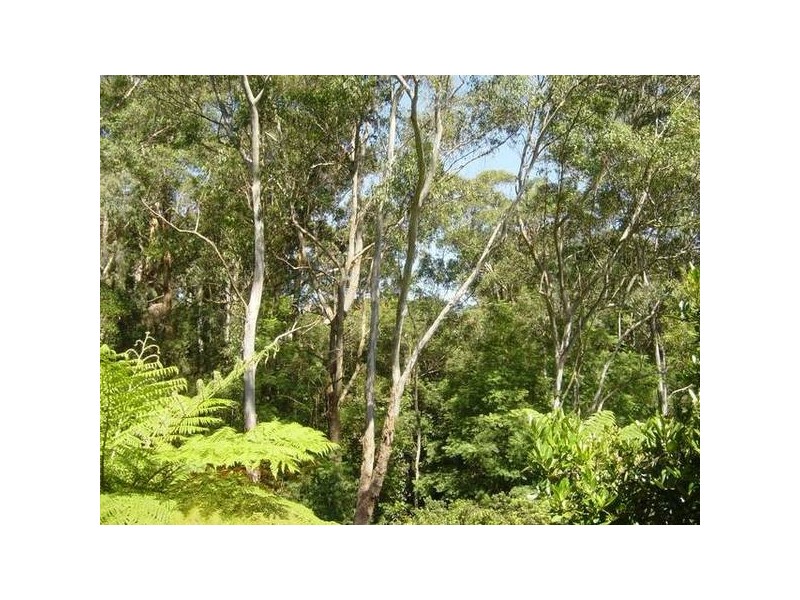 10 Duff Street, Turramurra NSW 2074
