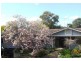21 Clissold Road, Wahroonga NSW 2076