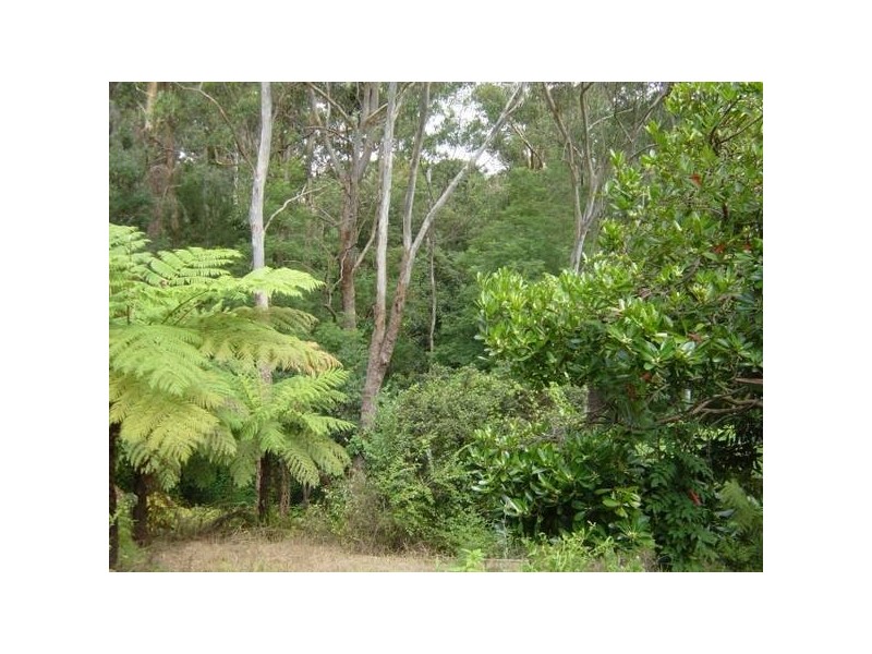 10 Duff Street, Turramurra NSW 2074