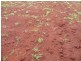 Childers QLD 4660