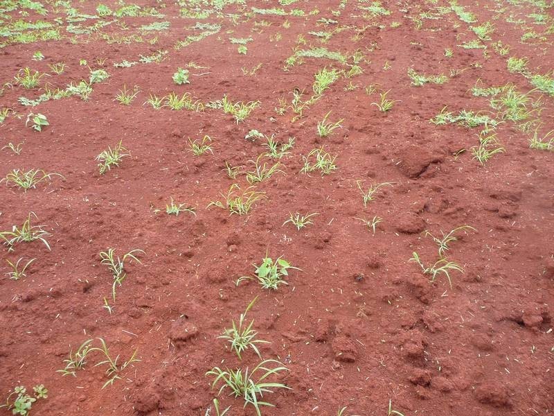 Childers QLD 4660