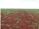 Childers QLD 4660