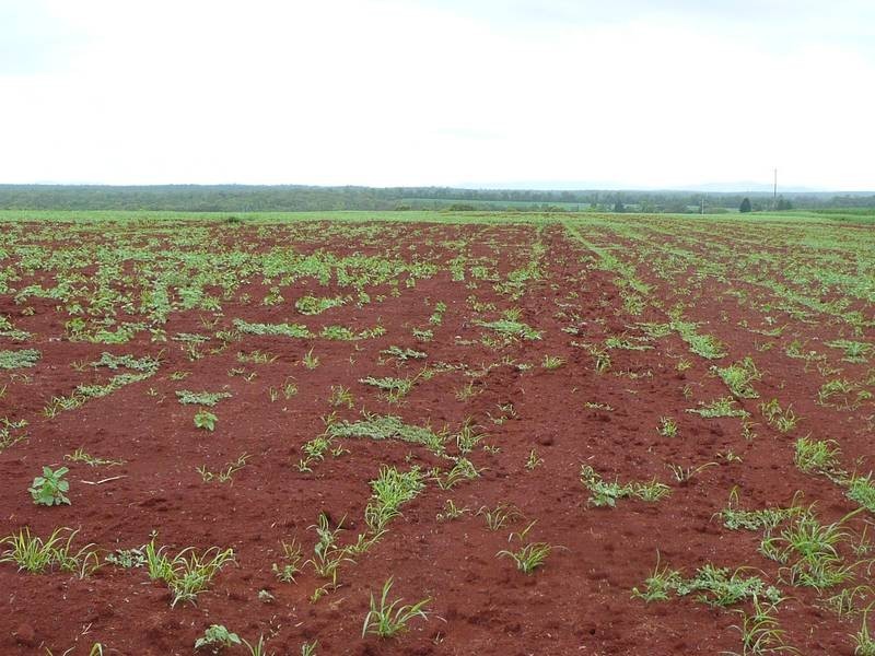 Childers QLD 4660