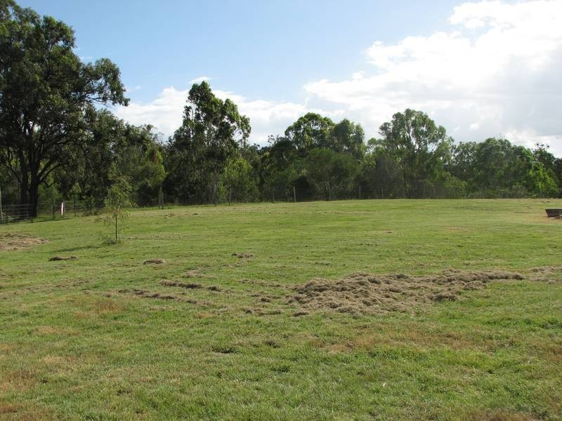 Apple Tree Creek QLD 4660