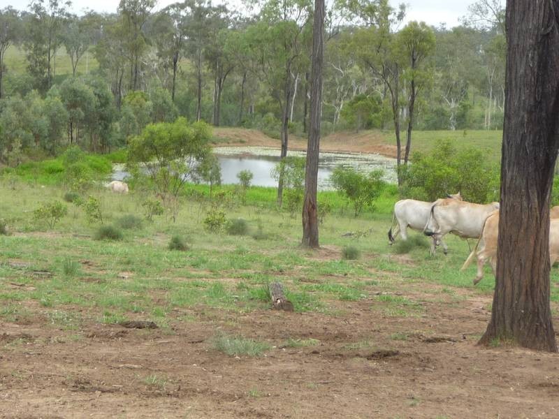 443 Railway Road, Booyal QLD 4671