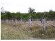 Childers QLD 4660
