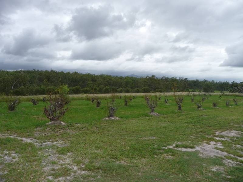 Childers QLD 4660