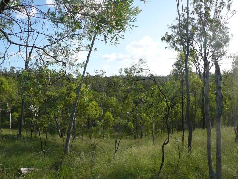 Lot 17,  PARADISE ROAD, Coringa QLD 4621