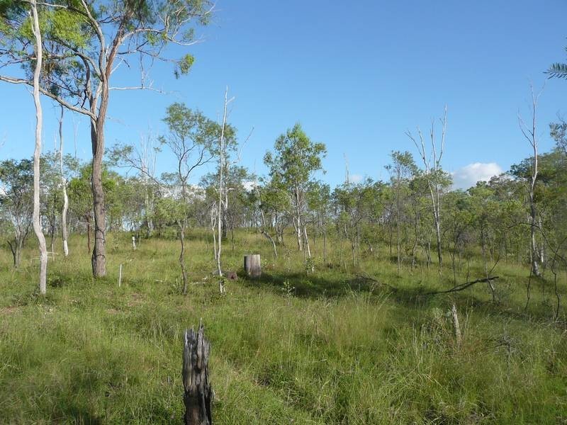 Lot 17,  PARADISE ROAD, Coringa QLD 4621